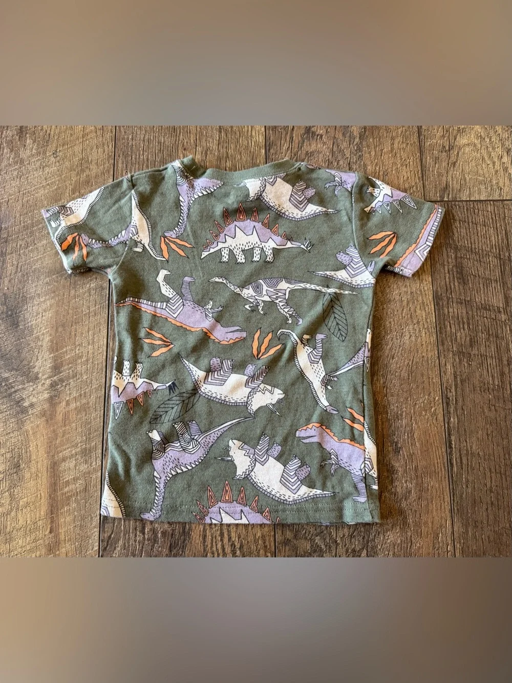 Toddler Boy Dinosaur Pajama Set